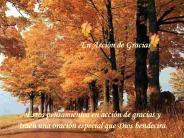 En Acci