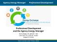 Professional Development and the Agency Energy Manager PowerPoint PPT Presentation