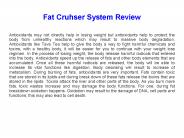 Fat Cruhser System Book Review