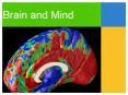 Brain%20and%20Mind PowerPoint PPT Presentation