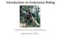 Introduction to Endurance Riding PowerPoint PPT Presentation