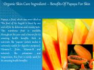 Best Organic Cosmetics
