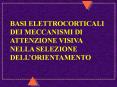 Nessun titolo diapositiva PowerPoint PPT Presentation