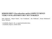 Muutama kommentti
