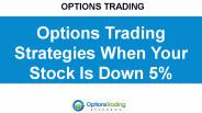 Options Trading Strategies When Your Stock Is Down 5%