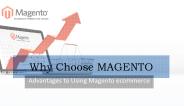 Why choose MAGENTO