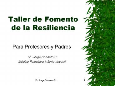 Taller de Fomento de la Resiliencia