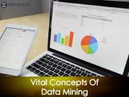 Vital Concepts of Data Mining