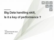 Big Data handling skill,
