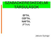 SZABADKERESKEDELMI T