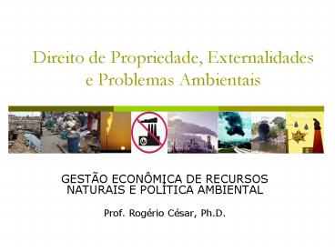 Direito de Propriedade, Externalidades e Problemas Ambientais