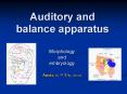 Auditory and balance apparatus PowerPoint PPT Presentation