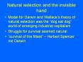 Natural selection and the invisible hand PowerPoint PPT Presentation