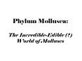 Phylum Mollusca: The Incredible-Edible (?) World of Molluscs PowerPoint PPT Presentation