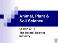 Animal, Plant PowerPoint PPT Presentation
