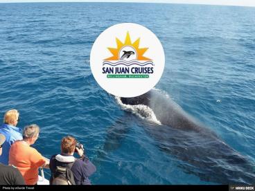 Bellingham's Future Whale Watching Adventure Cruise