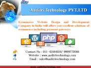 custom website solutions for ecommerce businesses