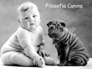 filosof