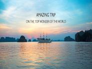 halong cruises