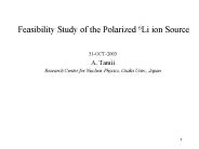 Feasibility Study of the Polarized 6Li ion Source