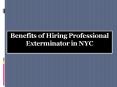 Benefits of Hiring Professional Exterminator in NYC PowerPoint PPT Presentation
