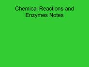 Chemical Reactions and Enzymes Notes