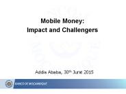 Mobile Money: