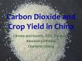Carbon Dioxide and Crop Yield in China PowerPoint PPT Presentation