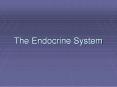 The Endocrine System PowerPoint PPT Presentation