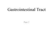 Gastrointestinal Tract