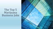 The Top 5 Marijuana Business Jobs