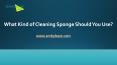 What Kind Of Cleaning Sponge Should You Use? PowerPoint PPT Presentation