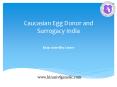 Caucasian Egg Donor and Surrogacy India PowerPoint PPT Presentation