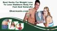 Best Herbs For Weight Loss To Lose Stubborn Body Fat Fast And Naturally PowerPoint PPT Presentation
