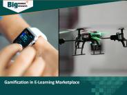 Gamification in E-Learning Marketplace