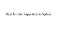 Best Termite Inspections in sydney PowerPoint PPT Presentation