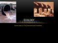 Human Impact on The Environment and Ecosystems PowerPoint PPT Presentation