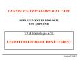 CENTRE%20UNIVERSITAIRE%20D PowerPoint PPT Presentation