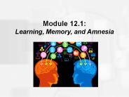 Module 12.1: Learning, Memory, and Amnesia