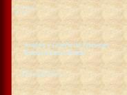 e-Business Essentials SE100