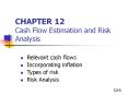 CHAPTER 12 Cash Flow Estimation and Risk Analysis PowerPoint PPT Presentation