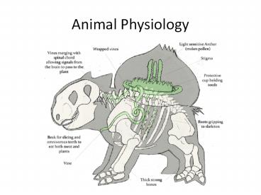 Animal Physiology