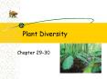 Plant Diversity PowerPoint PPT Presentation