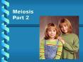 Meiosis Part 2 PowerPoint PPT Presentation