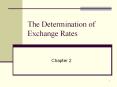 The Determination of Exchange Rates PowerPoint PPT Presentation