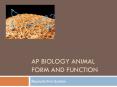 AP Biology Animal Form and Function PowerPoint PPT Presentation
