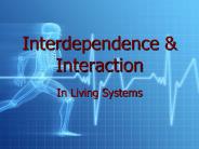 Interdependence%20