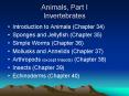Animals, Part I Invertebrates PowerPoint PPT Presentation