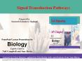 Signal Transduction Pathways PowerPoint PPT Presentation