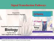 Signal Transduction Pathways